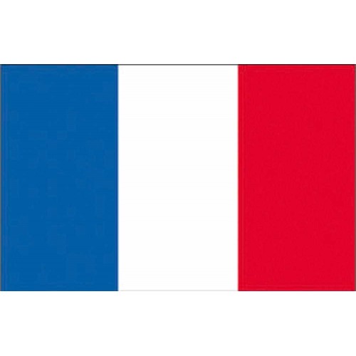 Bandiera Francia cm 20x30